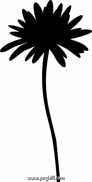  Png Clipart