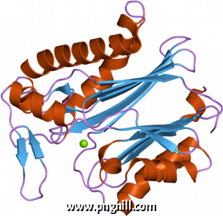Pdb 2iq1 Ebi Illustration Clipart