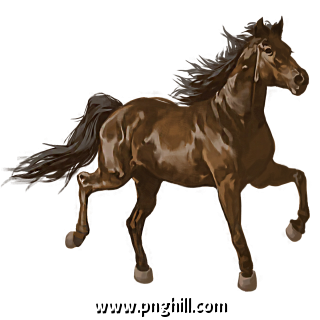 Hand Painted Horse Free PNG Download