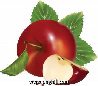 Vector Clipart