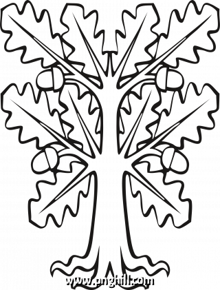 Big Image Clip Art Png 