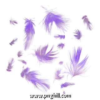 Fantasy Elegant Purple Gradient Feather Floating Design Element Background Shading
