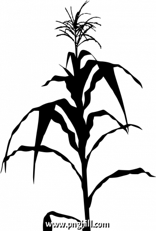  Png Illustration Clipart
