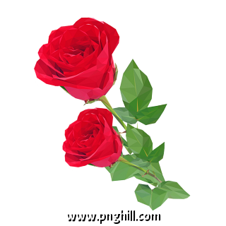 Red Rose Flower Free PNG Download