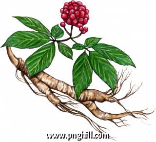 Planting Seeds Clipart Png 