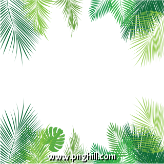 Tropical Palm Leaves Png Png Free Download 