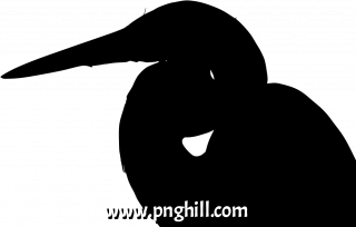  Png Illustration Clipart