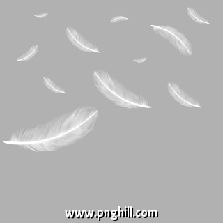 Floating Falling Feather Png Free Download 