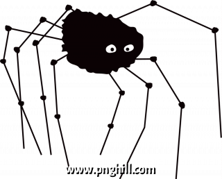 Sc spider Illustration Clipart