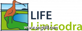 Clip Art Png 