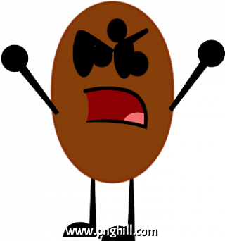 Coconut Illustration Clipart