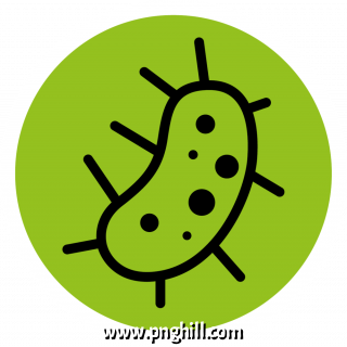 Clip Art Png 