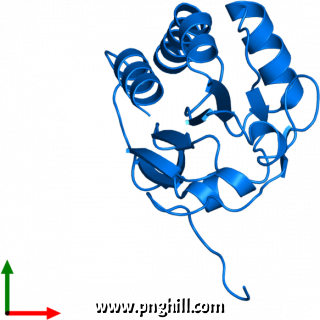 Illustration Clipart