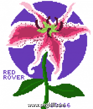Red Rover Starlily Neff Clipart