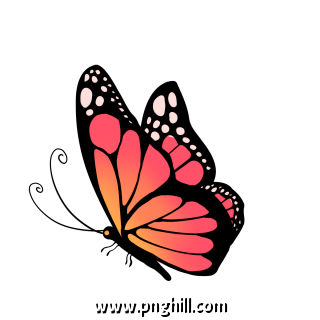 Monarch Butterfly Beautifull Insect Free PNG Download