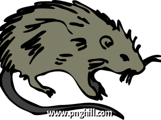 Ratticus Clipart