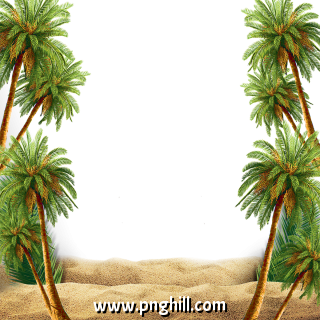 Scene With Palm Treepalm 