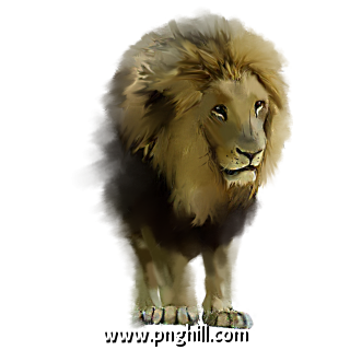 Hand Painted Animals King Lion Free PNG Download