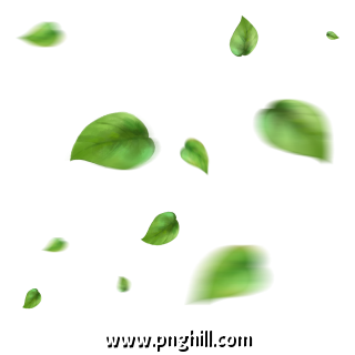 Floating Yellow Green Leaves Material Falling 