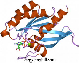 Pdb 2gf9 Ebi Illustration Clipart