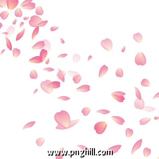 Cherry Blossom Flower Vector Png Png Free Download 