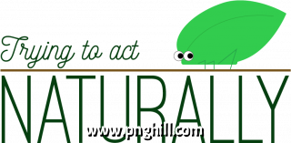 Clip Art Png 