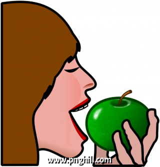 Picture Clipart