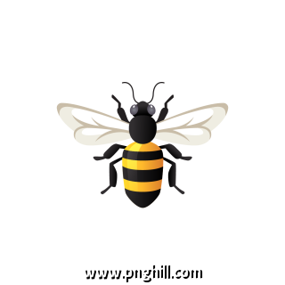 Bee Icon Isolated Insect Free PNG Download