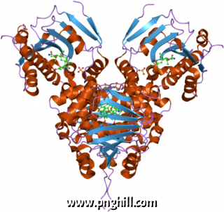 Pdb 2vw5 Ebi Illustration Clipart