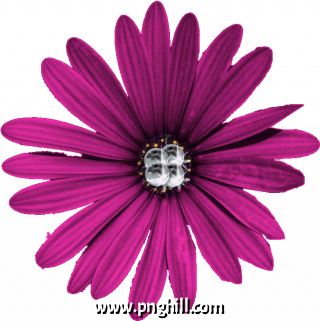 Purple Flower Png Clipart