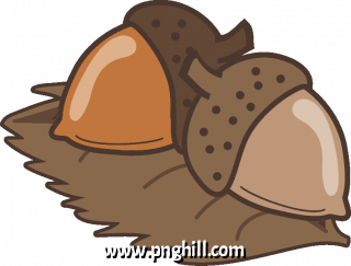 Input Acorns Clipart