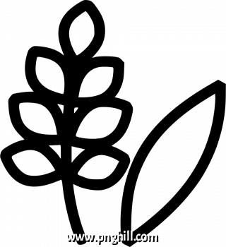 Png File Clipart