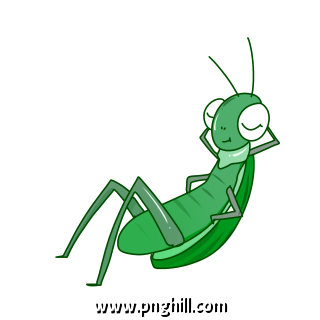 Insect Grasshopper Free PNG Download