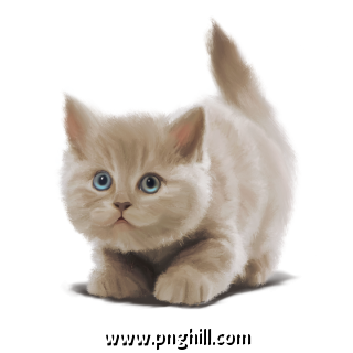  Gray Blue Eyed Plush Cute Kitten Hand Painted Free PNG Download