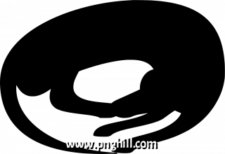  Png Clipart