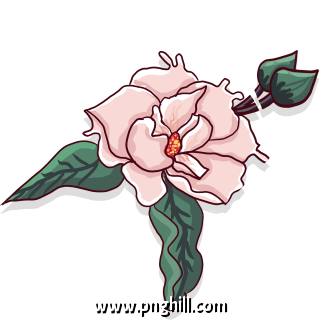 Flower Painting Decoration Free PNG Download