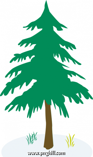 Drei Gewinnt Larch Clip Art Png 
