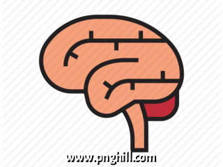 Illustration Clipart
