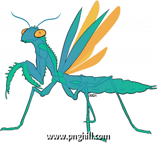 Blue Mantis Cartoon Clipart