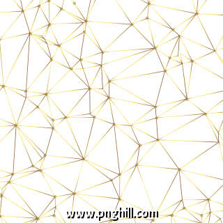 Geometric Golden Abstract Lines 