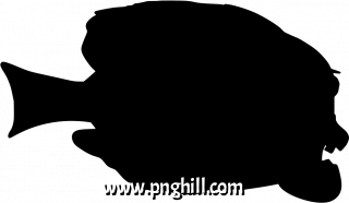  Png Clipart