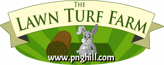 Main Logo Cartoon Clipart