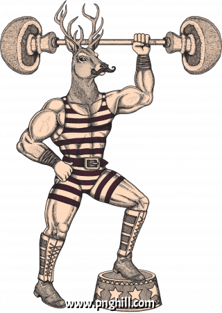 Cartoon Clipart