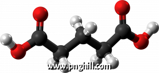 Glutaric Acid Clipart