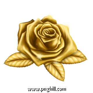 Gold Rose Flower Free PNG Download