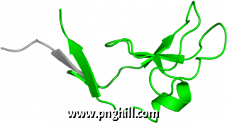 Clip Art Png 