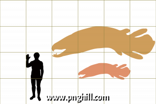 Open Onychodus Clipart