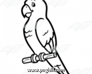 Cartoon Clipart