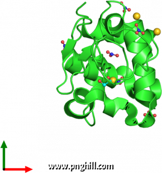 Illustration Clipart