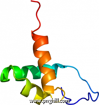 Clip Art Png 